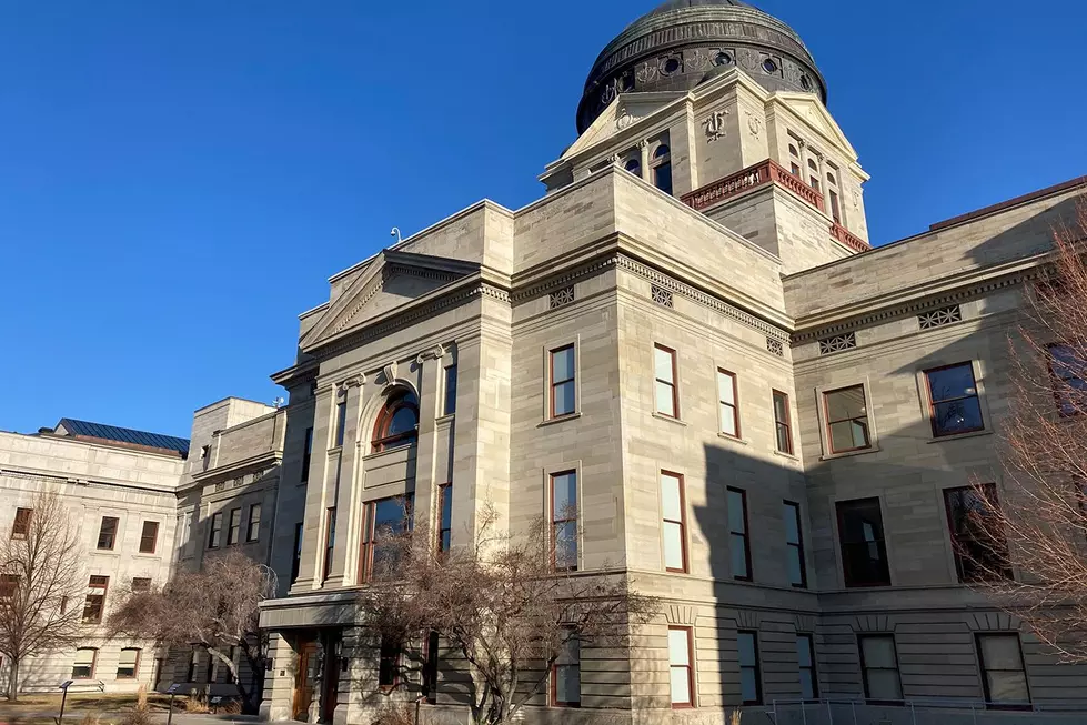 Montana legislative committee split on abortion, gun safety law