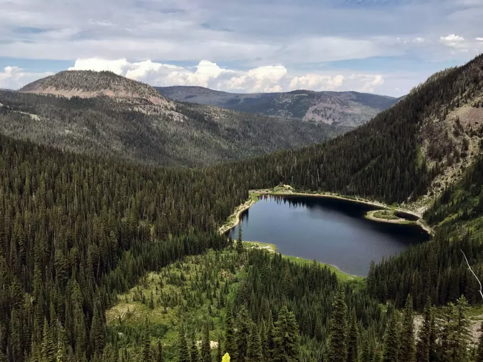 Could rehabbing dams in the Rattlesnake Wilderness help native trout struggling with climate change?