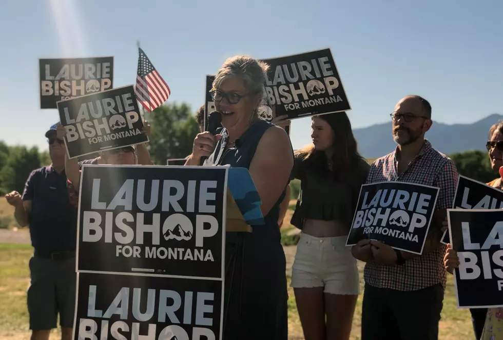 Livingston Democrat Laurie Bishop launches congressional bid