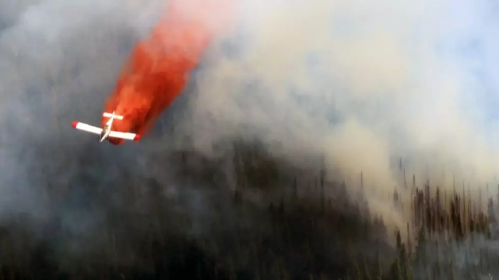 Forest Service reports a year of being on high alert for wildfire