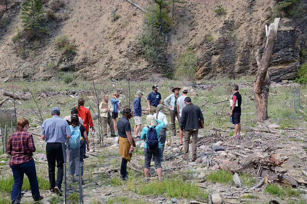 Recreational pressure a threat to Rattlesnake restoration area