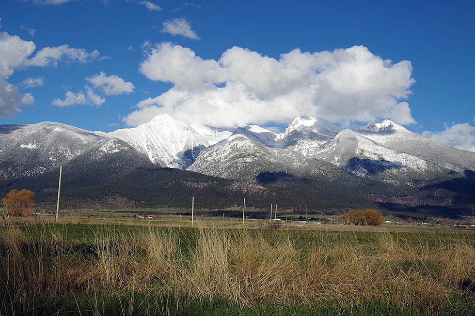 Viewpoint: Northern Rockies ecosystem project needed today
