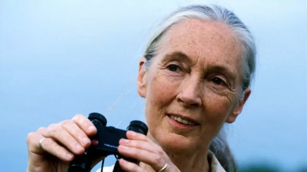 Famed ethologist and conservationist Dr. Jane Goodall to speak at UM