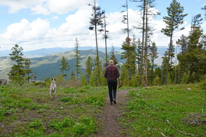 Open space trail opens new route to Mount Dean Stone above Missoula