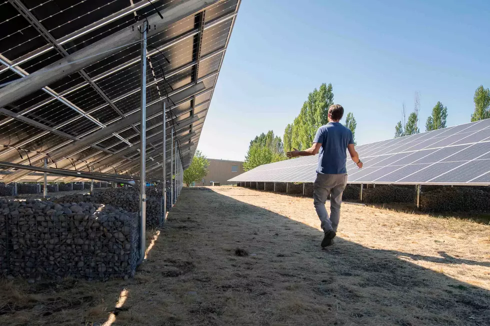 Missoula County opposes bill banning government-created solar-ready zones