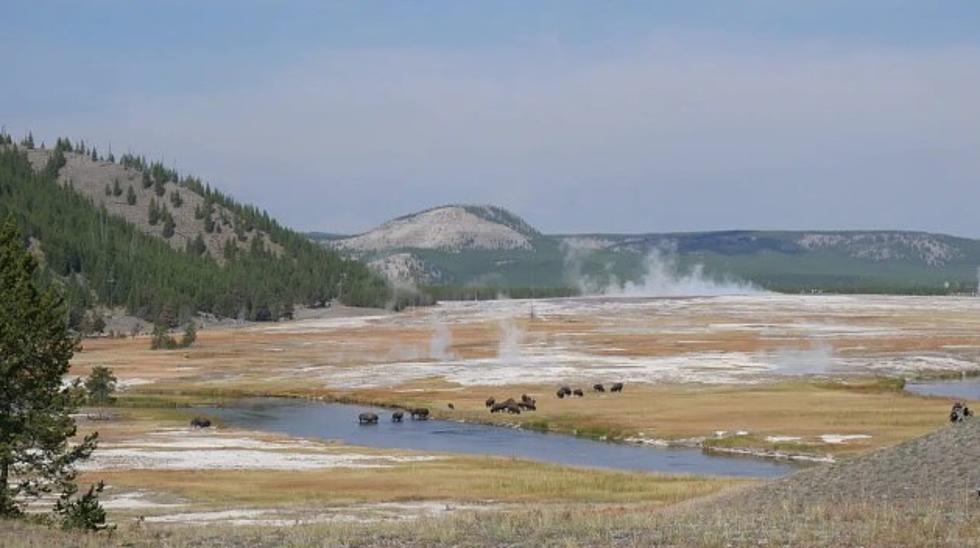 Mammoth Hot Springs seeing changes, Park officials share why