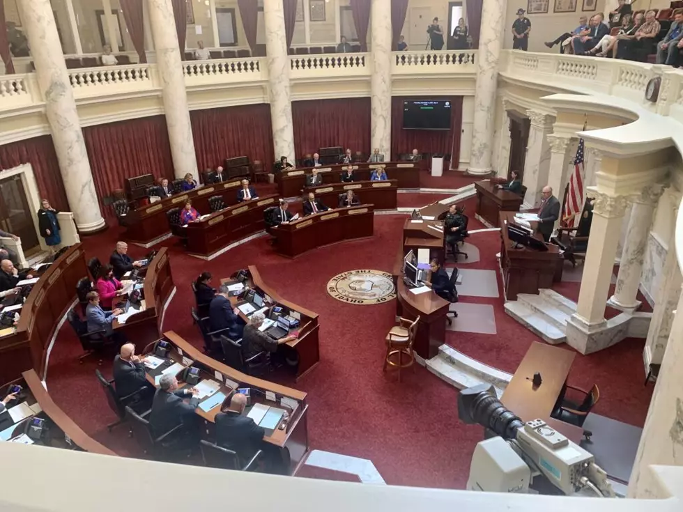 Idaho Senate leader reprimands peers over editorials criticizing other senators