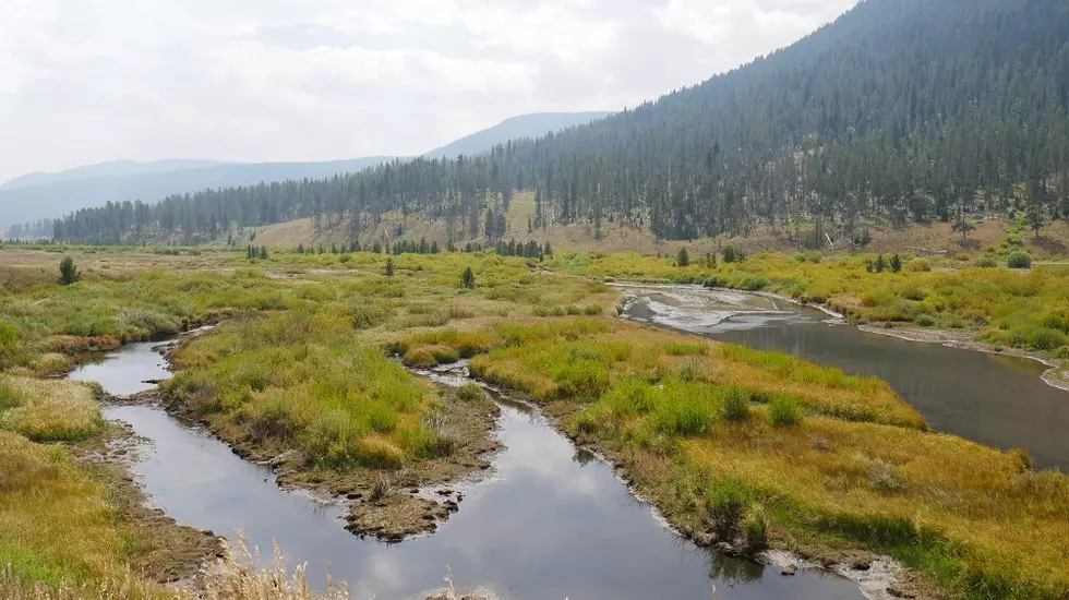 Nearly 90% of West depends on national forests, grasslands for drinking water