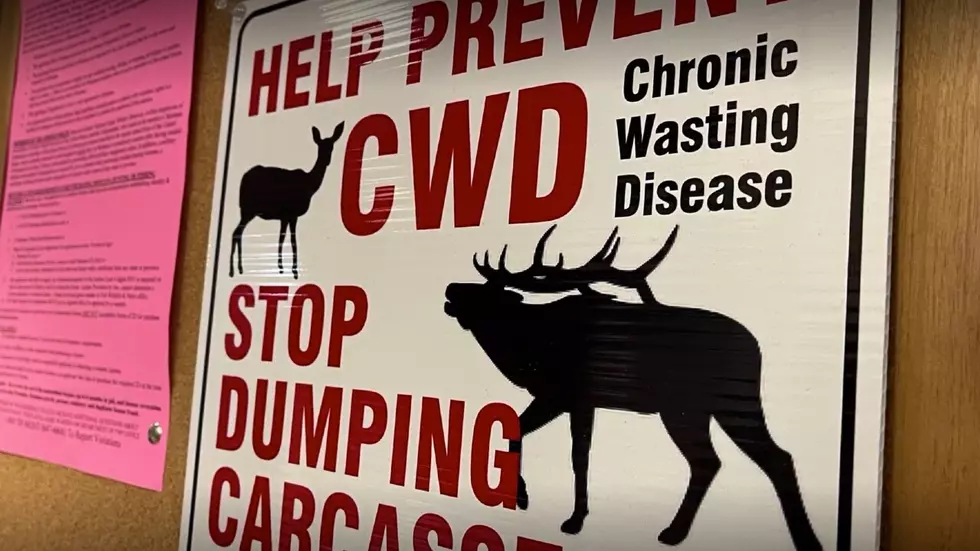 FWP reports decrease in Chronic Wasting Disease samples in NW Montana