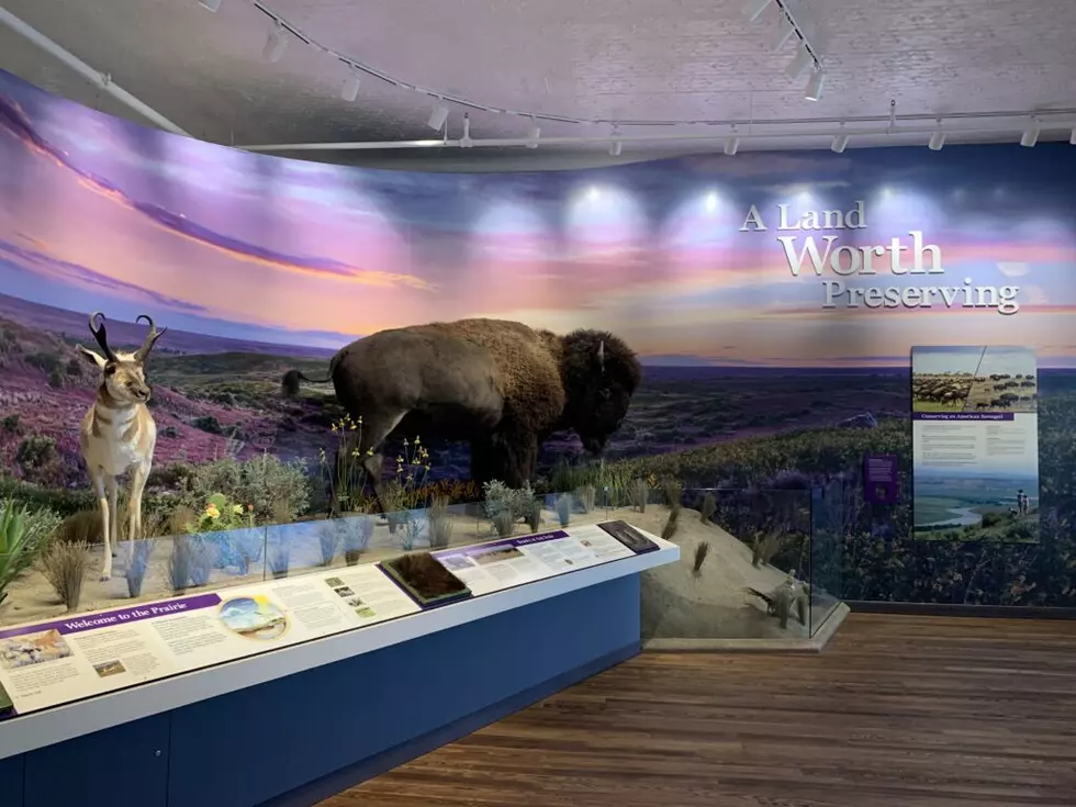 American Prairie establishes national discovery center in the heart of Lewistown, despite pushback