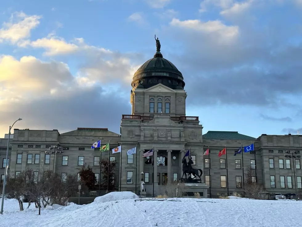 Support in place for proposed Montana child tax credit