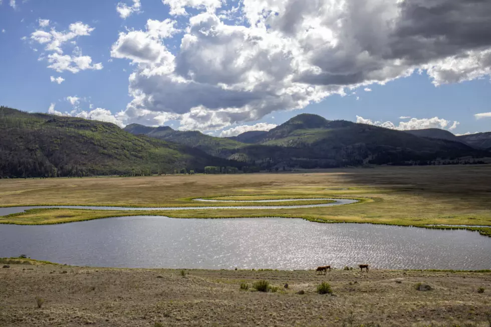 A river wounded: Crisis on the Rio Grande