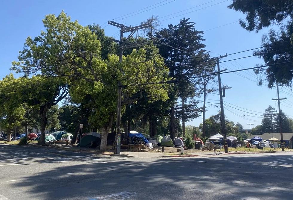 Court blocks UC Berkeley’s plan to transform historic park into student housing