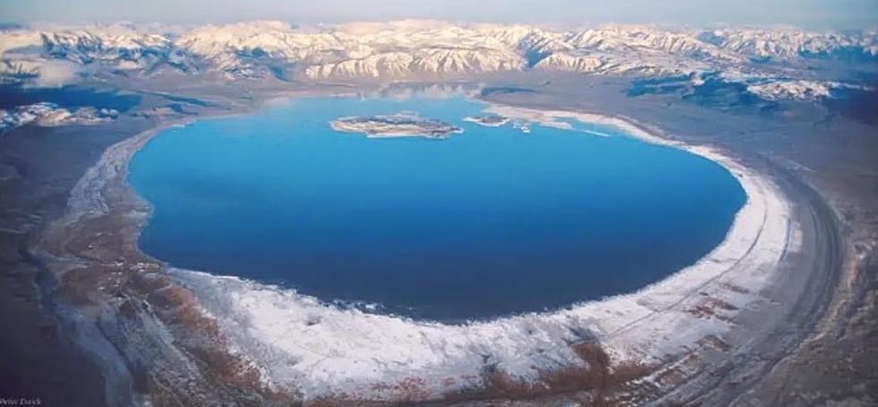 California water board urged to declare emergency at Mono Lake