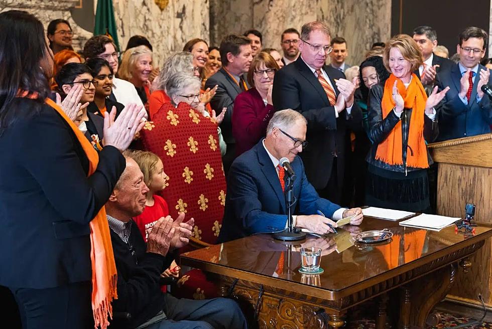 Washington governor signs assault weapon sales ban