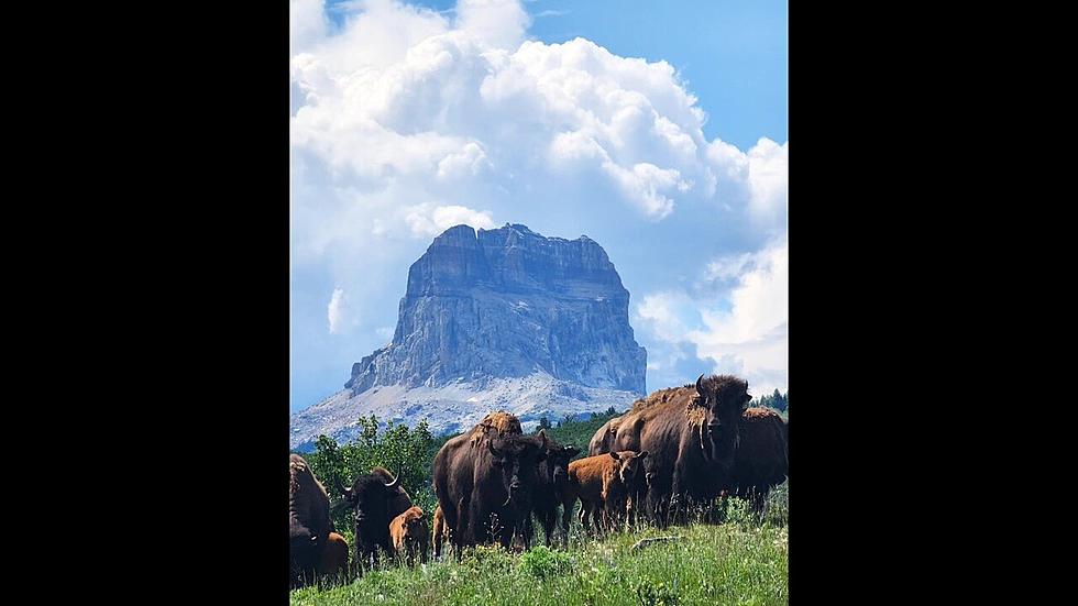 Blackfeet Nation celebrates a step forward in tribal sovereignty