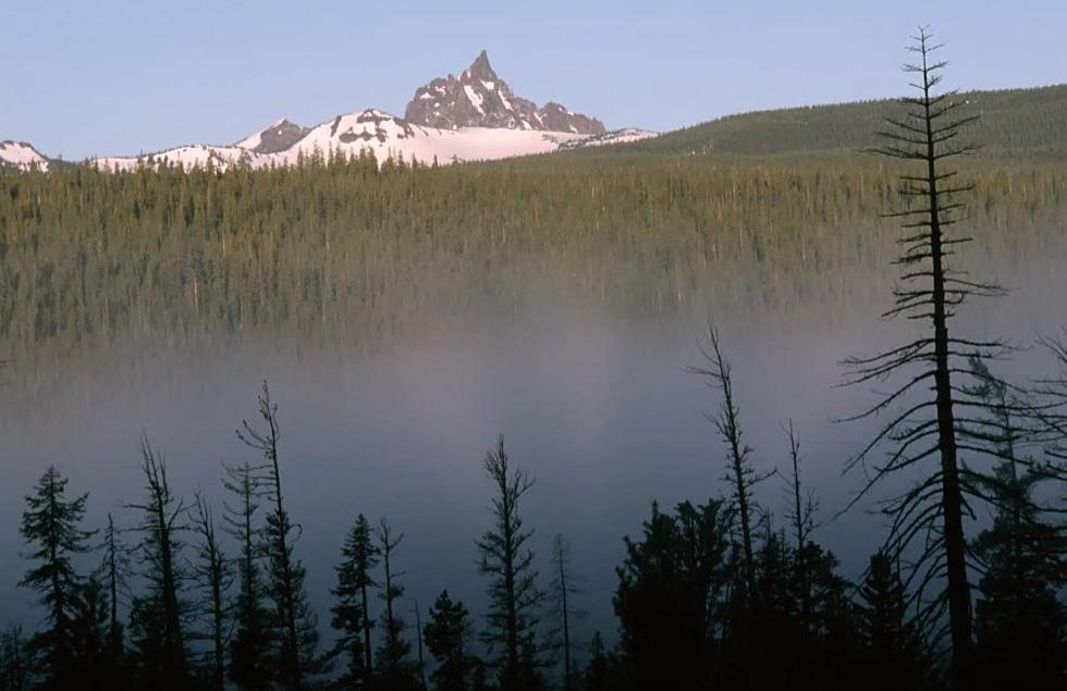Conservationists challenge unreviewed prescribed burning and logging in Oregon