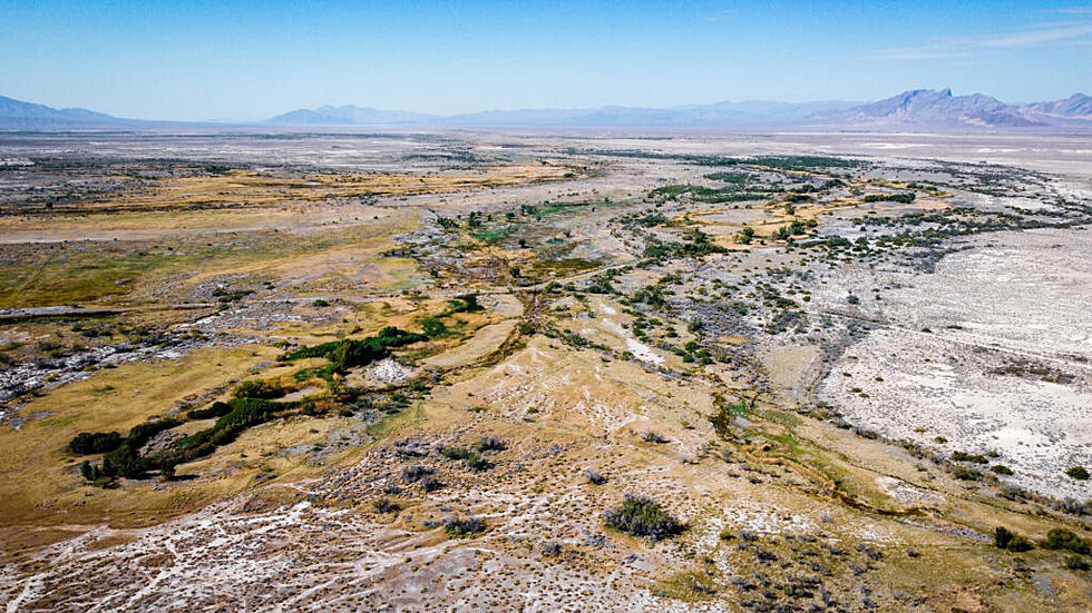 BLM admits error, pulls approval of Ash Meadows lithium project