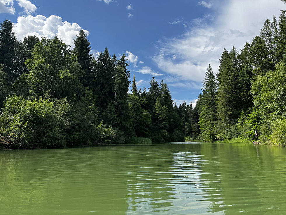 Idaho volunteer group works to keep Lake Pend Oreille healty