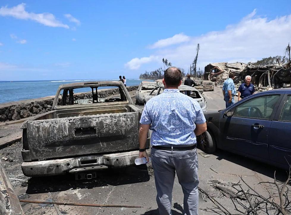 Maui fire devastates two Grizzly families