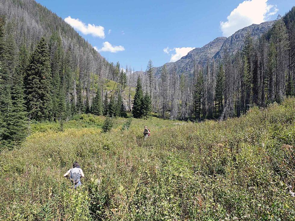 Blackfoot Clearwater wilderness bill headed to Senate floor