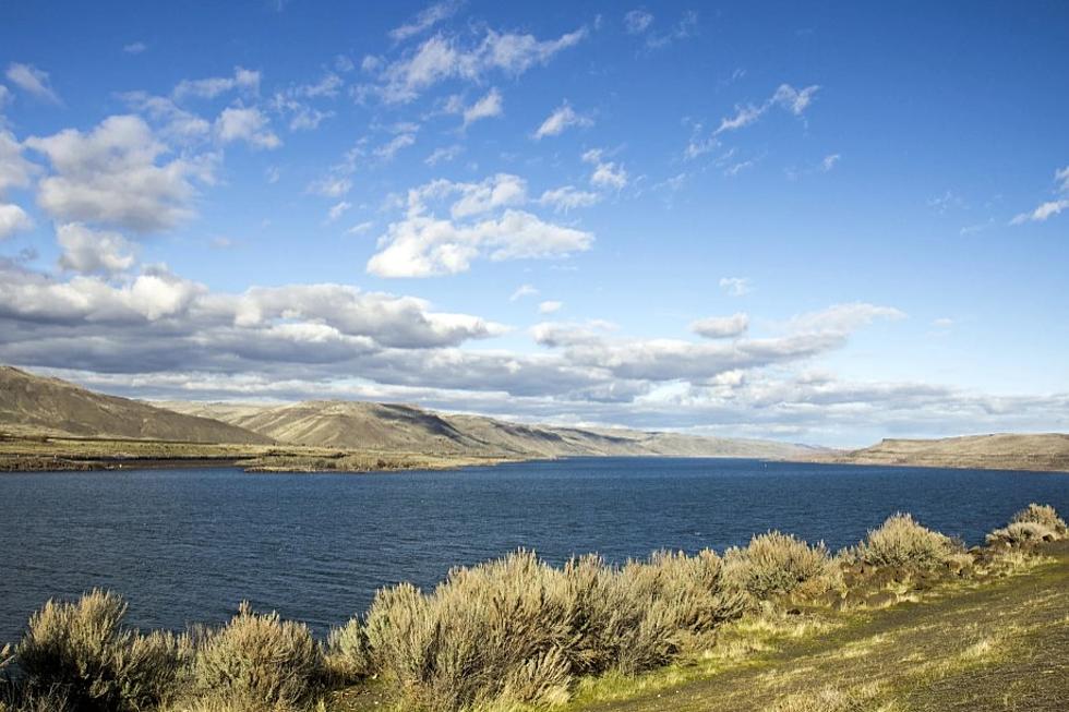 Biden orders feds to prioritize native fish recovery in Columbia River Basin