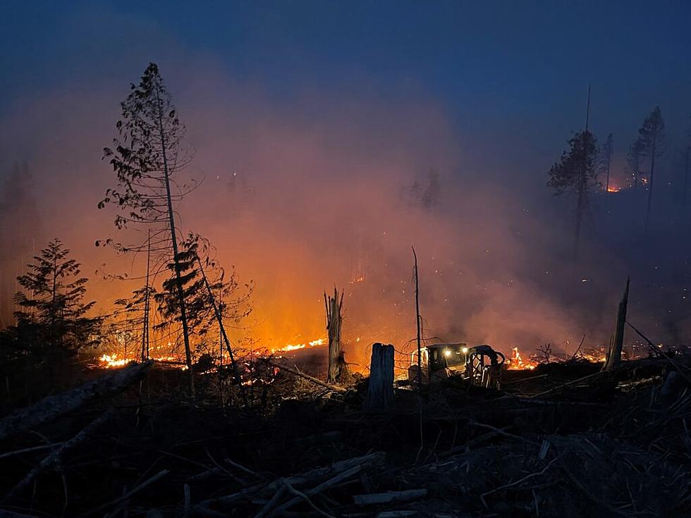 Nearly 75% of fires tracked by Idaho officials were human caused