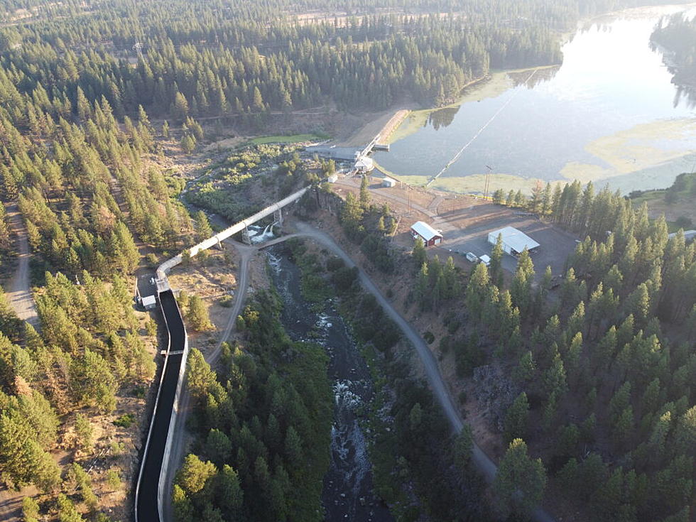 Klamath Dam removal will lower risk of fish die-offs, scientists say