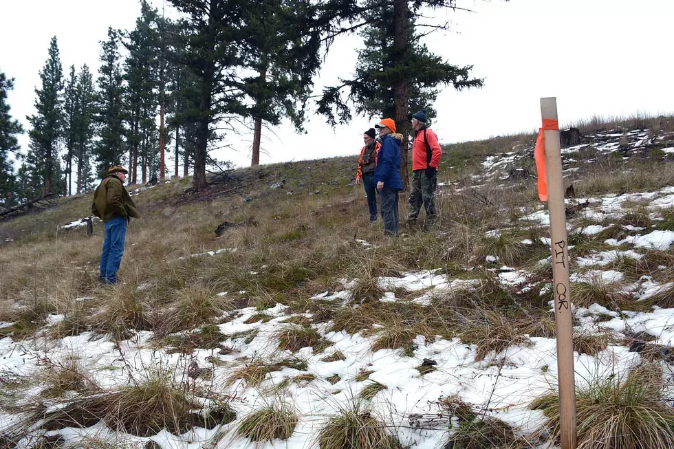 A piece of lath marks the planned corner of the Elbow Lake gravel pit showing how far down the slope toward Elbow Lake the pit would go. Jerry Covault (left) discusses the potential damage with Jon Watson, Gayla Nicholson and Jeff Nicholson on Saturday. (Laural Lundquist/Missoula Current)