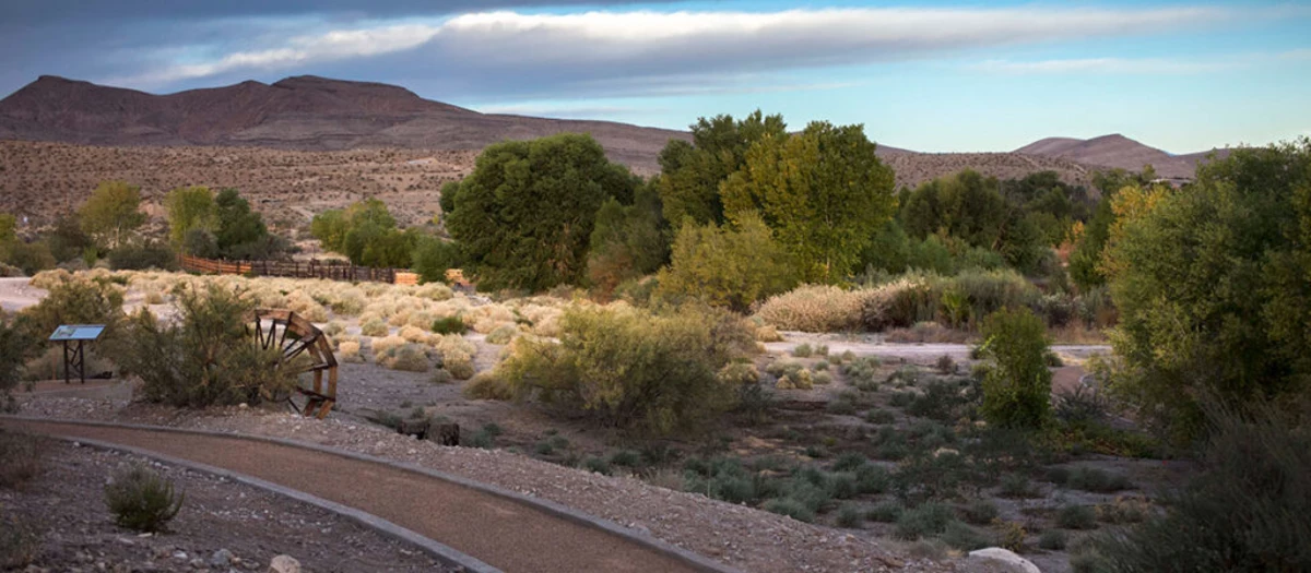 Feds announce new funding for Nevada’s threatened springs