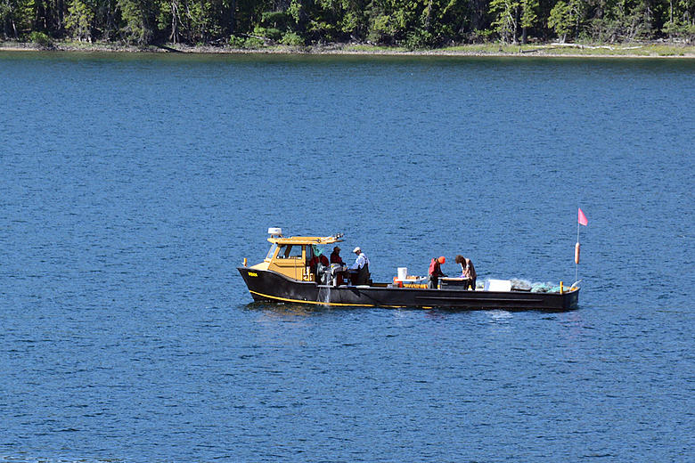Model Swan Lake / Fishing Lake / Boating Lake - OO - NEW