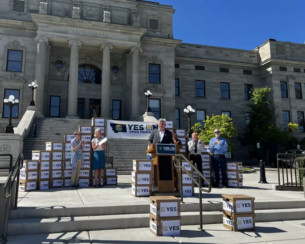 Election reform group gathers enough signatures for ballot