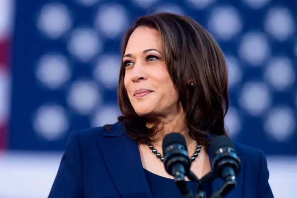 Wave of delegate support clinches Harris' presidential nomination