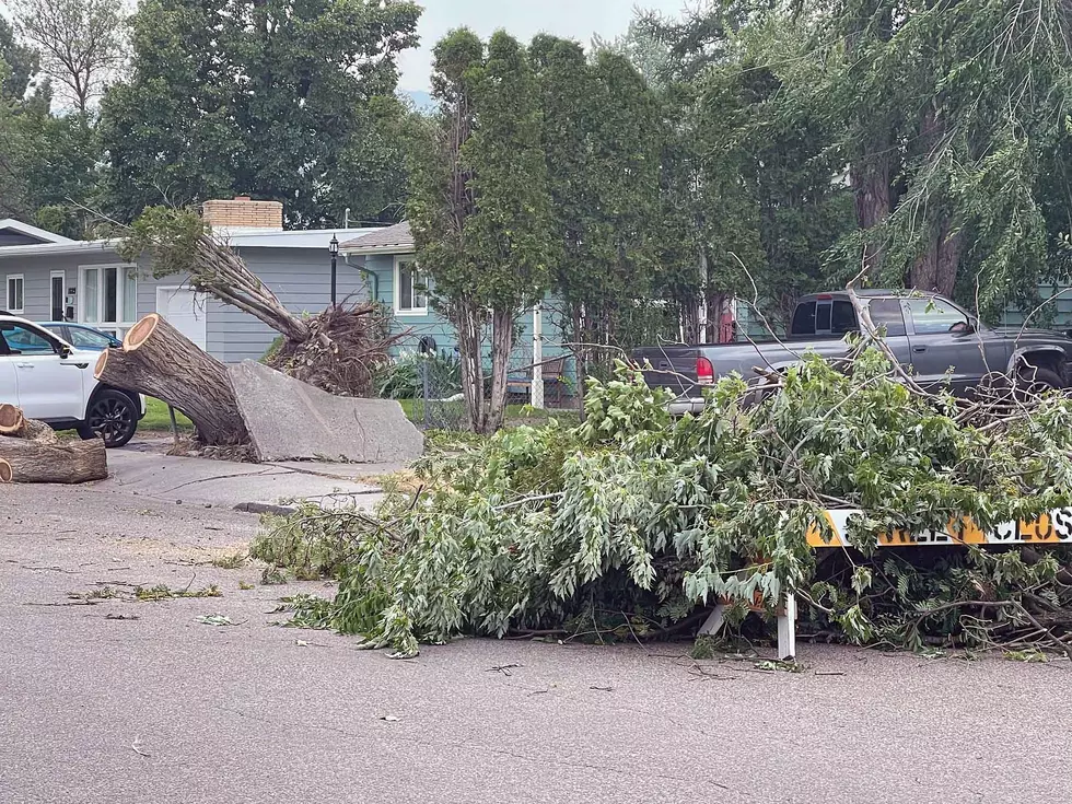 Storm decimates urban forest, damages homes, cuts power in Missoula