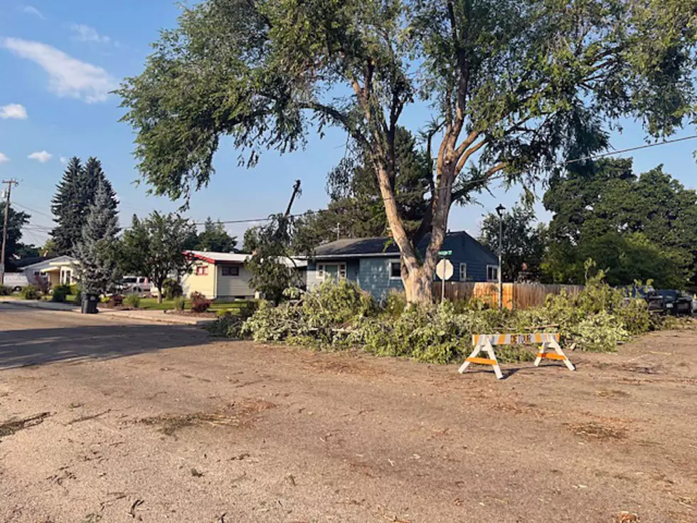 County announces drop-off locations for storm debris