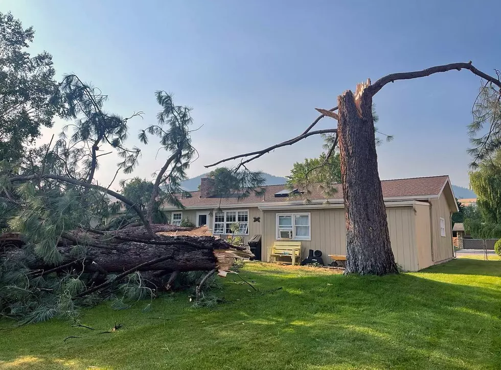 Photos: Storm leaves Missoula’s urban forest in tatters