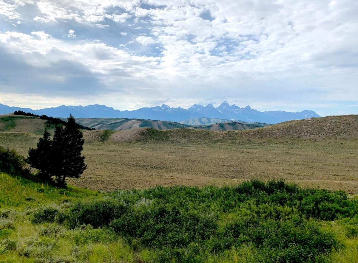 Wyoming calls off sale of wildlife-rich tract in Jackson Hole