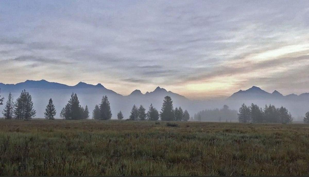 FWP approves purchase of northwest Montana conservation easement