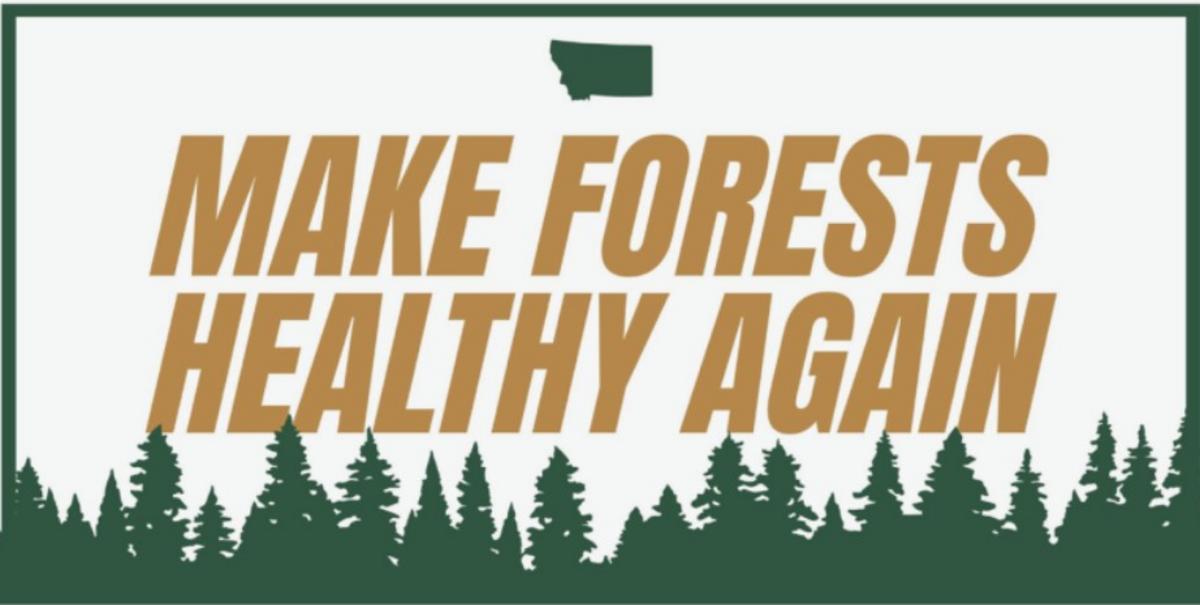 Viewpoint: Timber empire plunders public forests