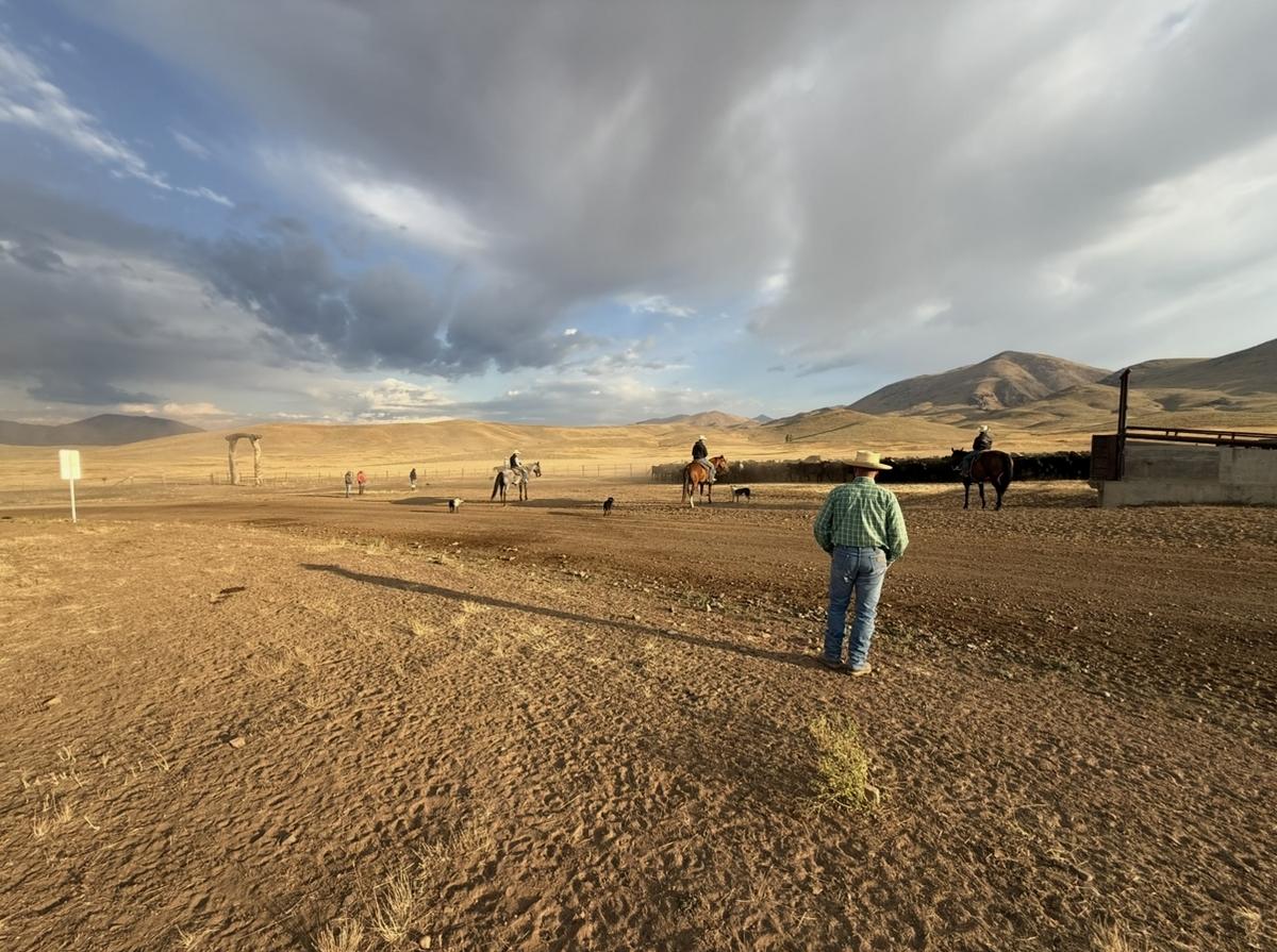 Ranchers, conservationists partner to protect Idaho habitat