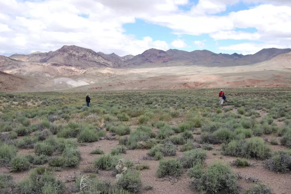 Australian firm gets South Korean backing for Nevada lithium mine