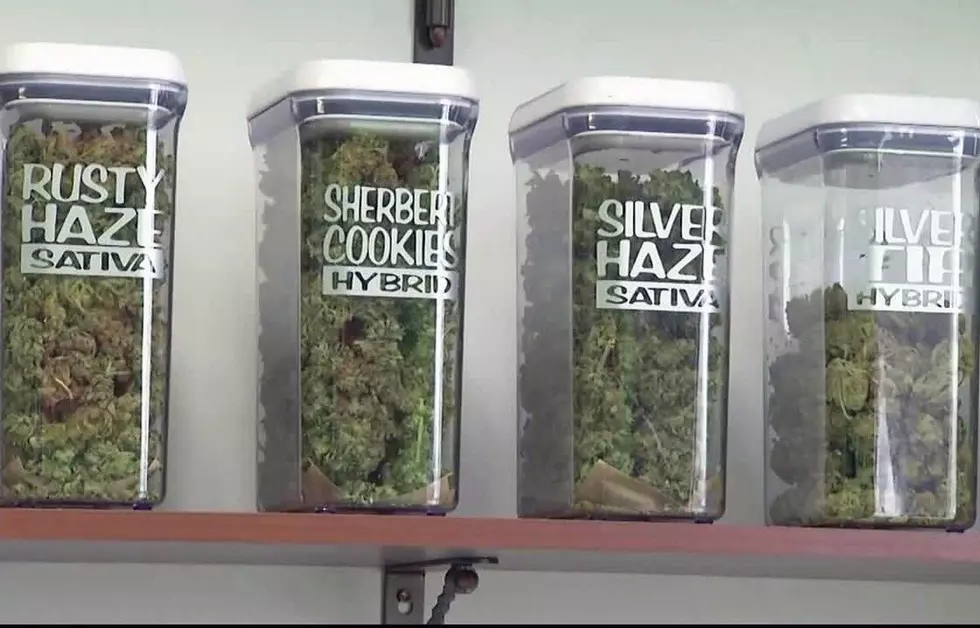 Missoula places moratorium on new marijuana dispensaries