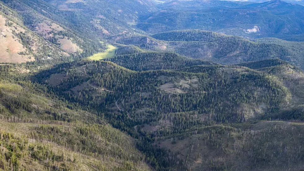 New exploration plan submitted for Sheep Creek mine
