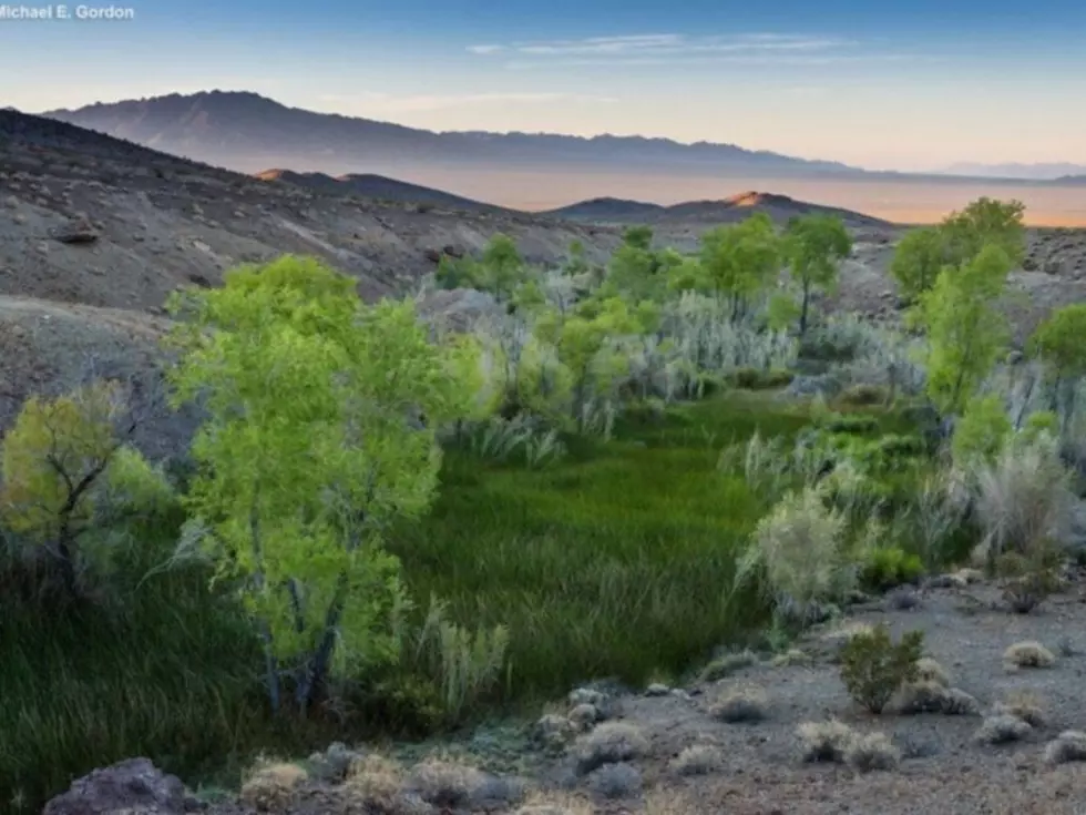 Tribes sue feds over renewed approval of Mojave Desert pipeline
