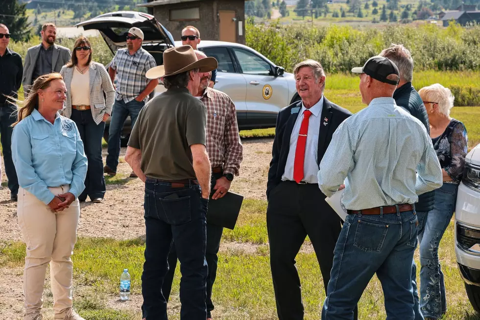 USFWS proposes letting states manage grizzlies under tiered process