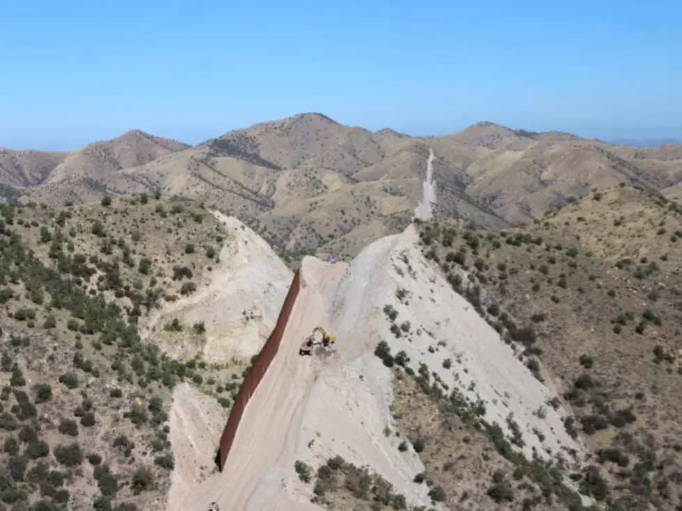 Border wall construction threatens iconic Southwest species