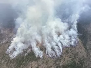Fires rage in the Pacific Northwest, leaders call all hands on de