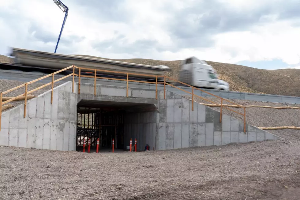 New Idaho wildlife crossing to protect migrating deer