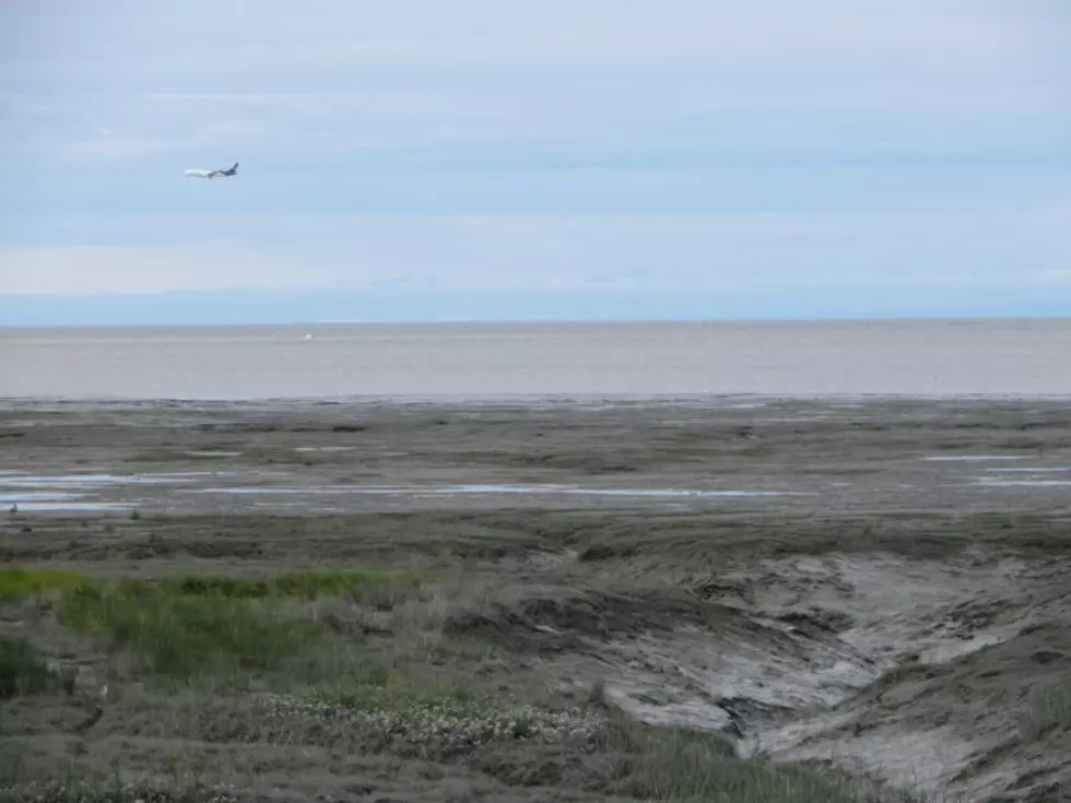 Alaska judge clears way for gold mining within national park