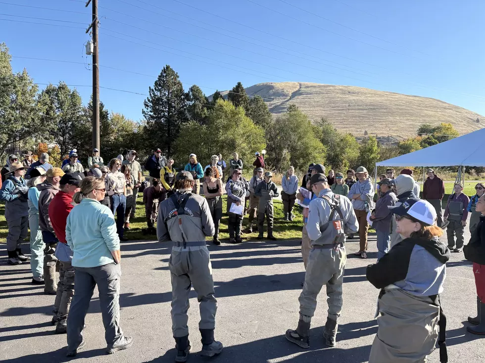 Rob Roberts, Trout Unlimited senior project manager, explains what volunteers needed to do Sunday to save fish trapped in the Missoula Ditch. (Laura Lundquist/Missoula Current)